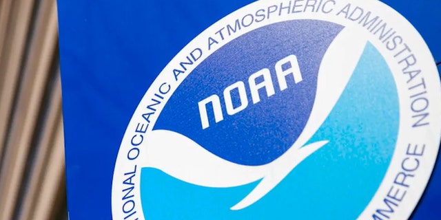 NOAA navy and sky blue logo and white bird in circle