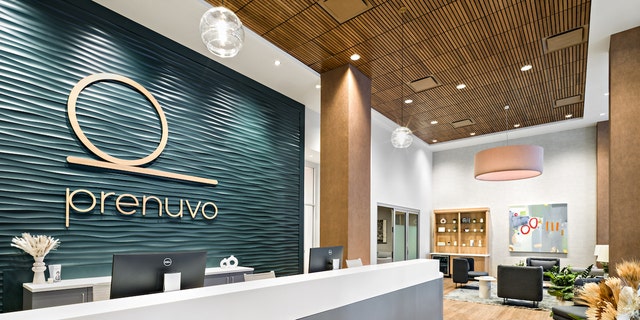 Prenuvo NYC office