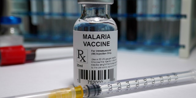 Malaria vaccine