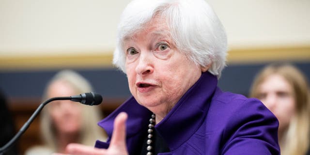 Treasury Secretary Janet Yellen