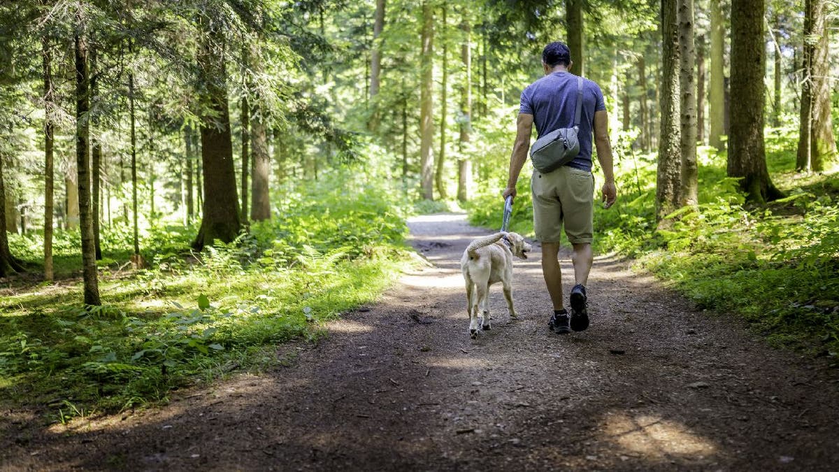 Man walking dog