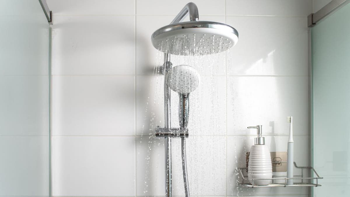 Toothbrush and other bottles in shower