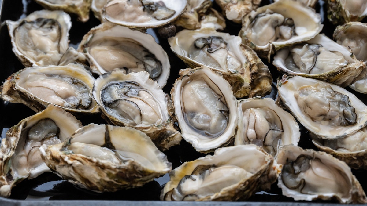 Raw oysters