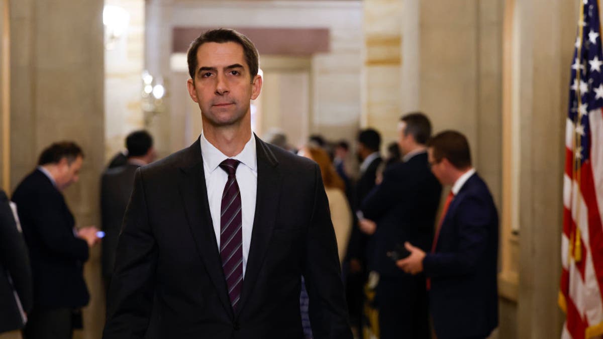 Tom cotton